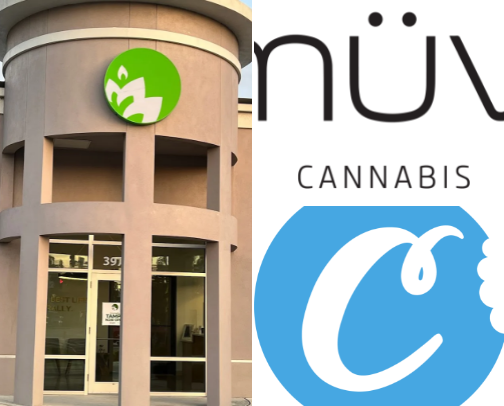 TOP 5 TAMPA DISPENSARIES in 2025! cover photo collage