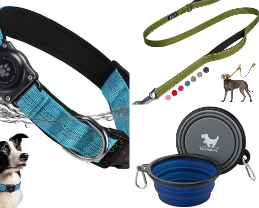 First time dog-parent? Here are some excellent items cover photo collage