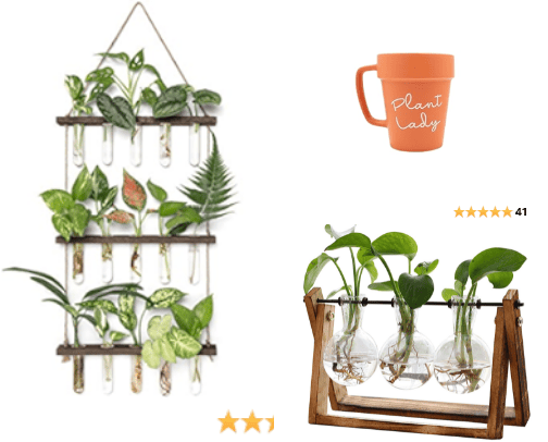 For all them plant lovers. 🪴 cover photo collage
