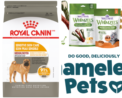 Wag-Worthy Finds for Your Furry BFF cover photo collage