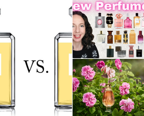 Perfumes I love cover photo collage