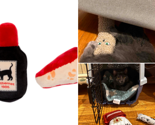 cat toys ˚ ༘♡ ·˚ ₊˚ˑ༄ؘ cover photo collage