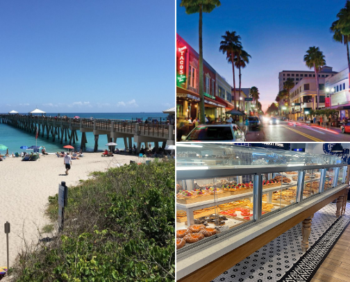 Must-Visit Spots in South Florida cover photo collage