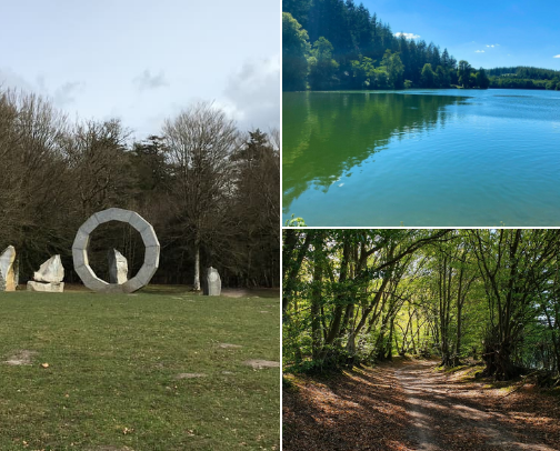 Dog walks we have found and love cover photo collage