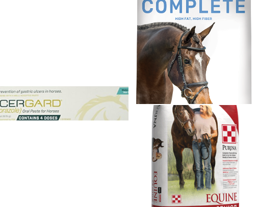 Horse necessities! cover photo collage