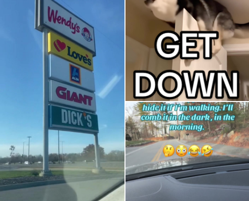 TikTok's Funniest Posts 🤣 cover photo collage