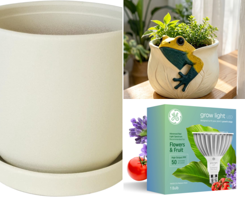 How I Turned My Tiny Apartment Into a Green Paradise Without Any Sunlight cover photo collage