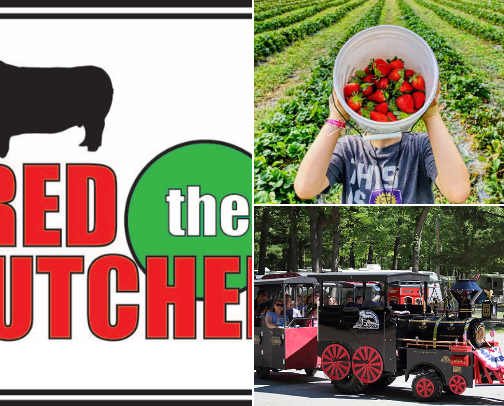 Family Friendly Trip Ideas Near Saratoga Springs NY cover photo collage