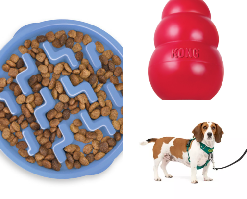 Dog Essentials I actually use cover photo collage