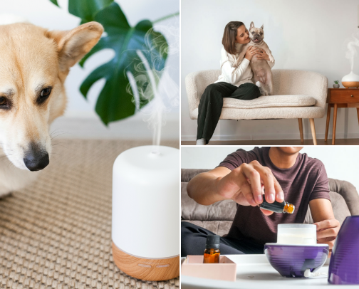 Best Pet-Safe And Allergy-Safe Home Fragrances cover photo collage