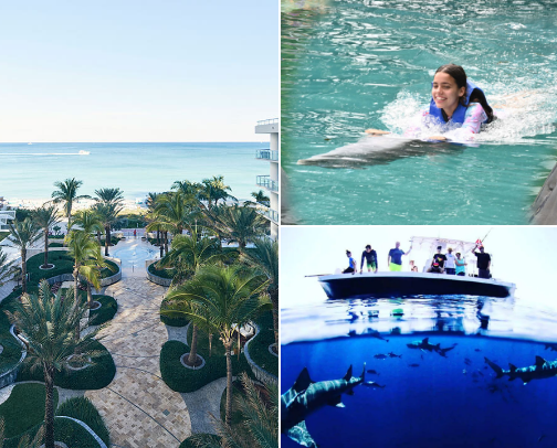 Travel with me ✈️ cover photo collage