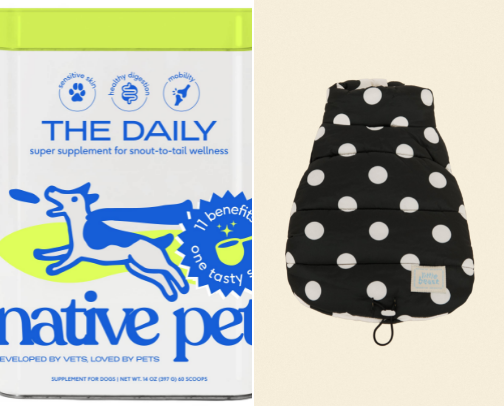 The Dog Edit: Things My Dog (and I) Can’t Live Without 🐶 cover photo collage