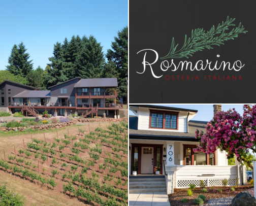 From peasant to bougie, the best of Willamette Valley wine tasting! cover photo collage