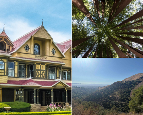 Things to do in San Jose, CA area cover photo collage