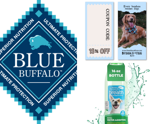 Dog recommendations cover photo collage