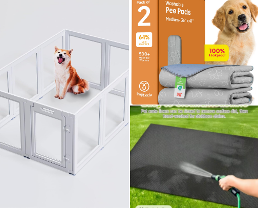 Spoiled Bunny Starter Pack cover photo collage