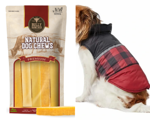 chihuahua fav things:3 cover photo collage