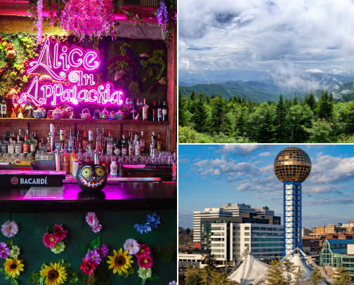 Travel Diaries: Knoxville, Tn cover photo collage