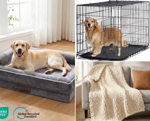 Puppy love - everything you need for your first puppy cover photo collage