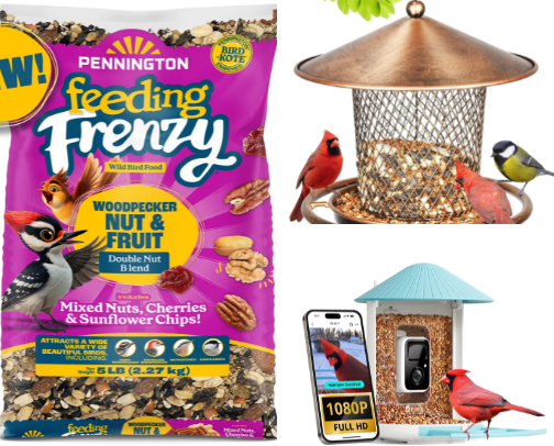 Bird Care Essentials for happy and healthy Pets cover photo collage