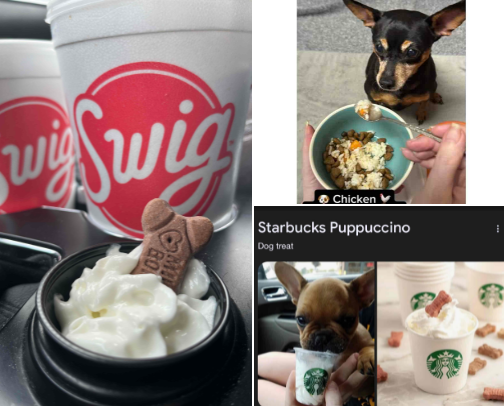 Restaurants in Houston🇨🇱 that have 🐕‍🦺🦮Dog 🦴🐾 Menus or Dog Options you can ask for 😋 cover photo collage