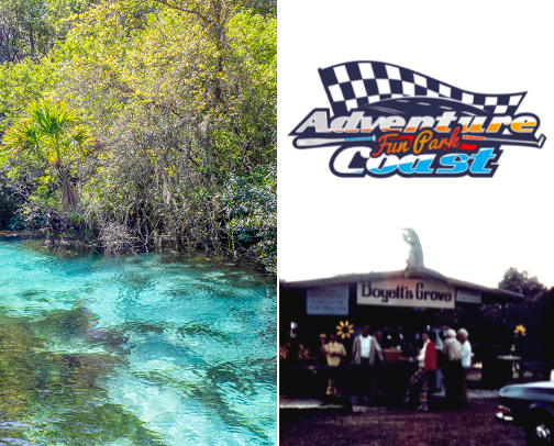 Hernando County, Florida cover photo collage