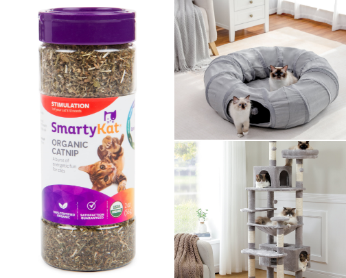 Stop wasting money — get this instead (your cat will thank you). cover photo collage