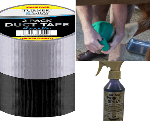 Equine first aid cover photo collage