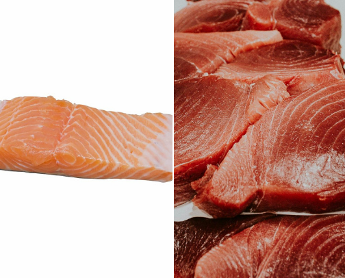 🐟 High-Protein Fish for Cooking (12 Major Options) cover photo collage