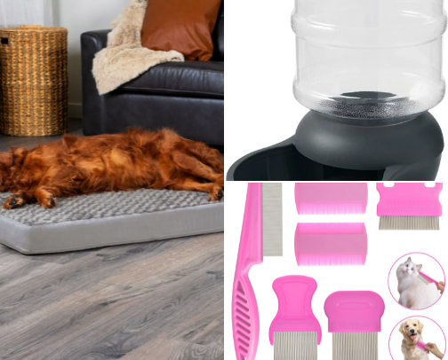 Best Pet Care Tips cover photo collage