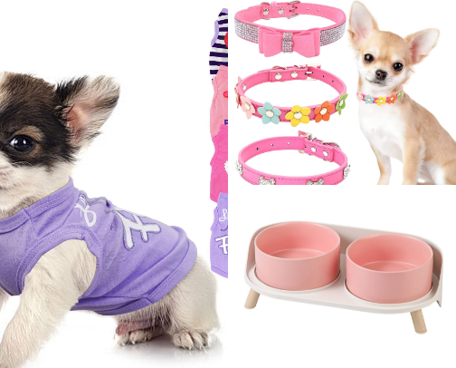 My Chihuahua Ella's Things cover photo collage