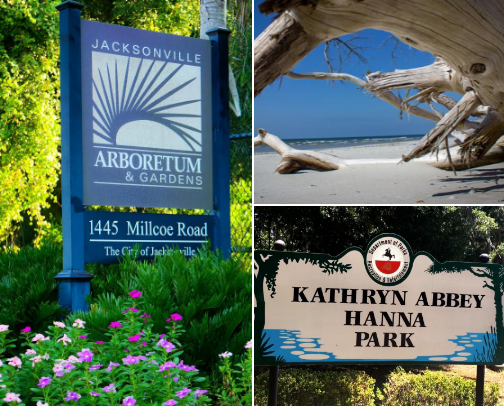 Family things to do in Jacksonville Florida cover photo collage