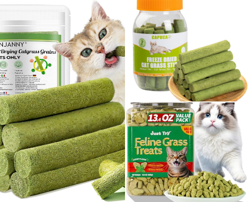 I need Grass for my health🐱🐶🥰 cover photo collage