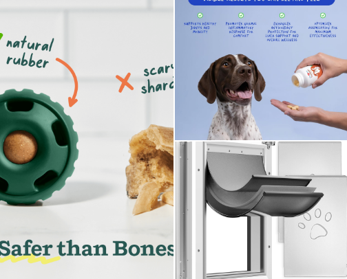Large Dog Essentials cover photo collage