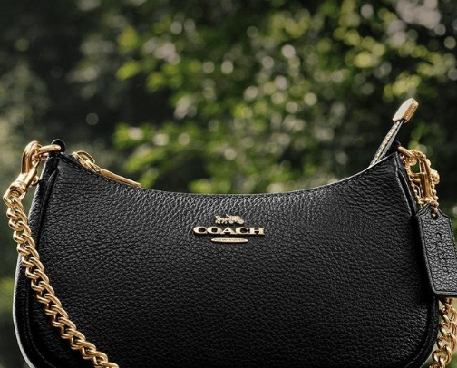 Beautiful Everyday Bags for 2026 Summer : Goals cover photo collage