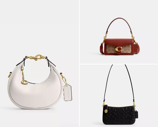 Cutest Coach Bags cover photo collage