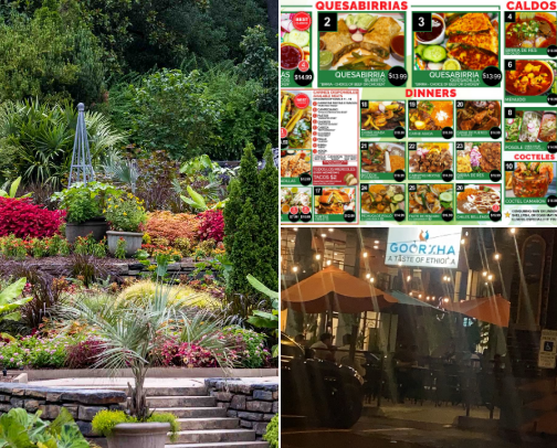🗺️LIFECATION FOR LOVERS! 💗💓💕 cover photo collage