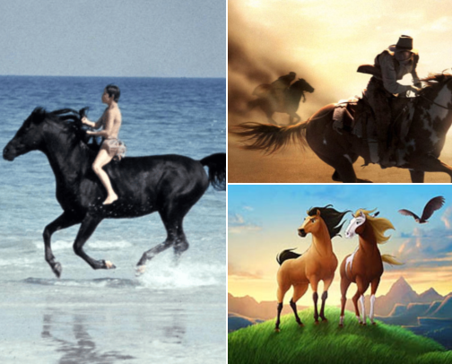 Horse Movies Handpicked for the Serious Equine Adventurer and Animal Lover cover photo collage