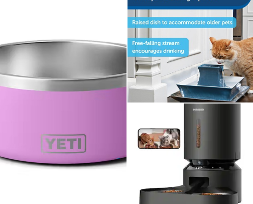 Heavy-Duty Indoor Cat Upgrades That Actually Look Good cover photo collage