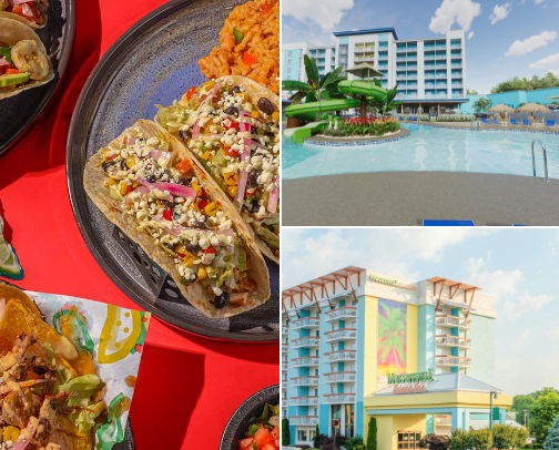 My top local recs cover photo collage