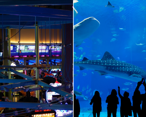 Places to go when bored! cover photo collage