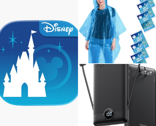 Disney World essentials ✨ cover photo collage