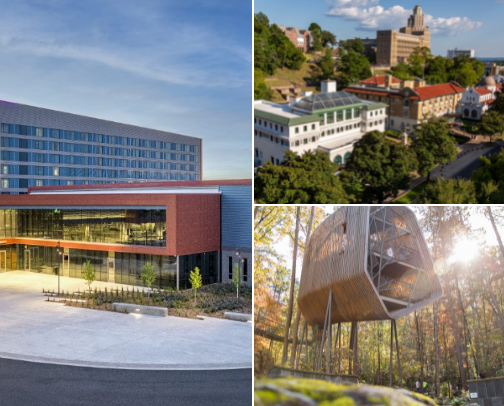 Must see and do's in Hot Springs, Arkansas cover photo collage