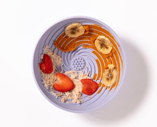 Pet recommendations cover photo collage