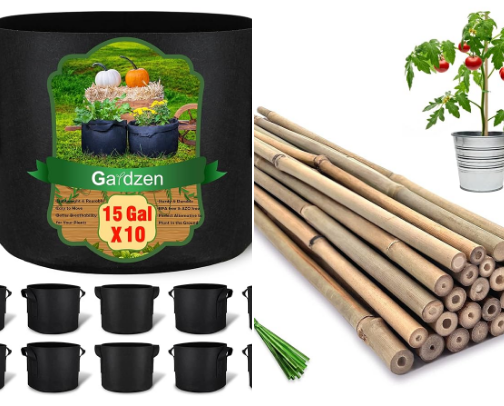 Garden Favorite 🌱 cover photo collage