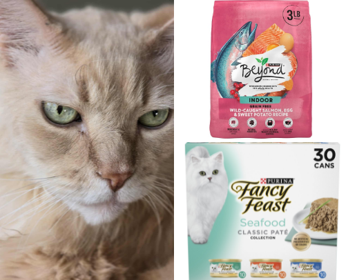 Meow 😻 favorites of my Leo Aslan Little-lion cover photo collage