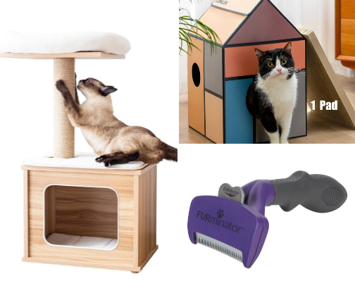 Kitty Must-Haves | Amazon 🐾 cover photo collage