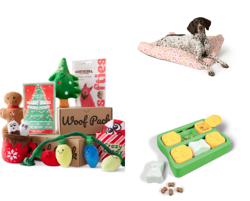 Best Buy’s for dogs amusement and comfort cover photo collage
