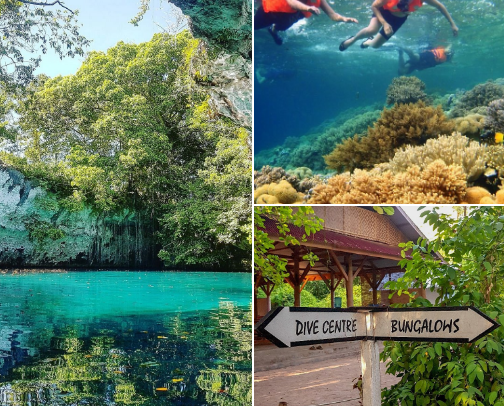 Wakatobi Travel Guide: Luxury Island Diving & Hidden Paradise cover photo collage
