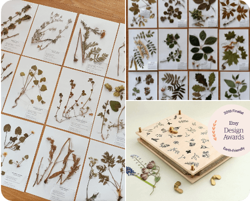 herbarium, dry plants cover photo collage